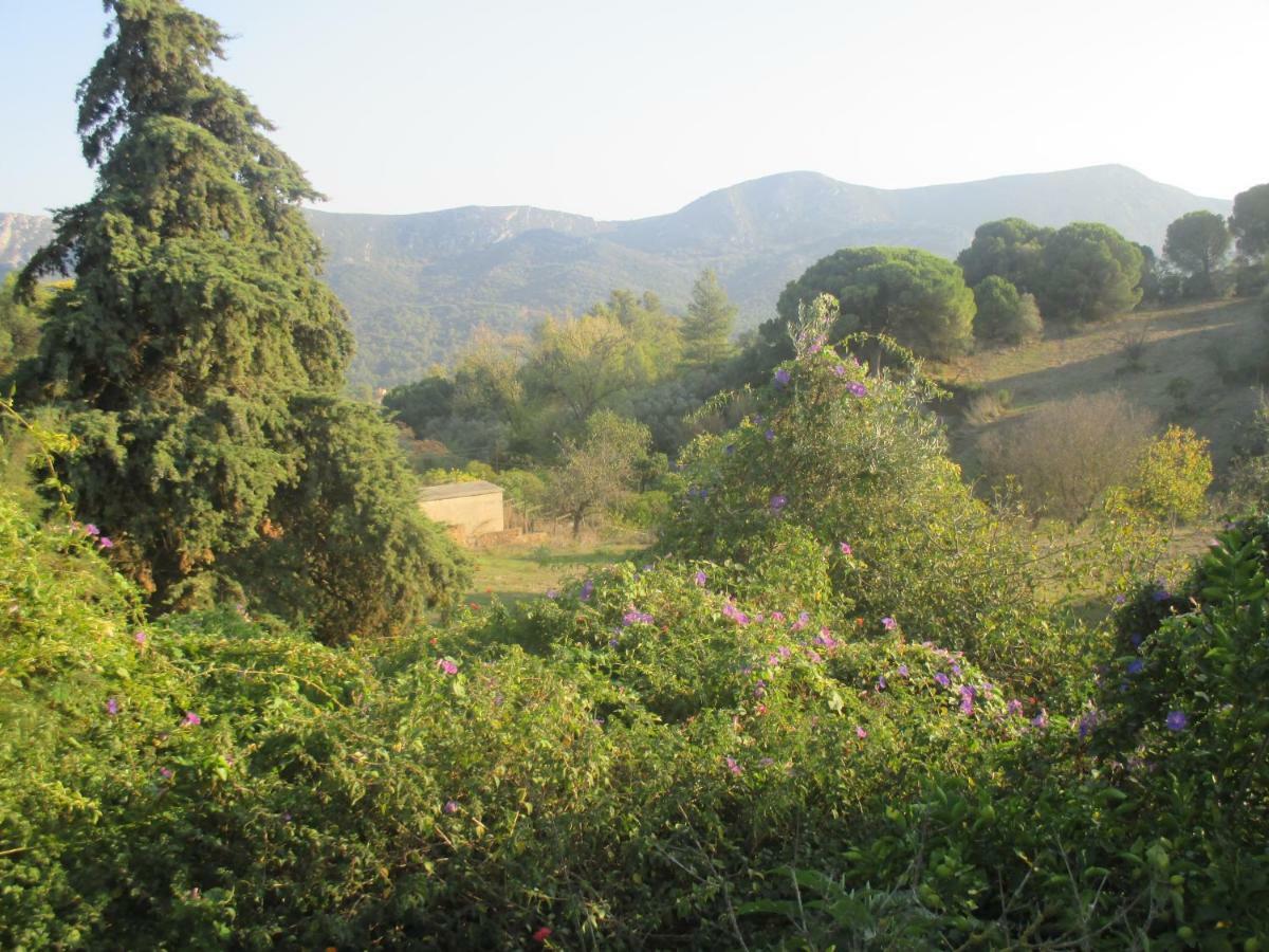 Coin De Paradis Quinta do Anjo Exteriör bild