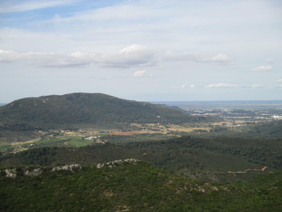 Coin De Paradis Quinta do Anjo Exteriör bild